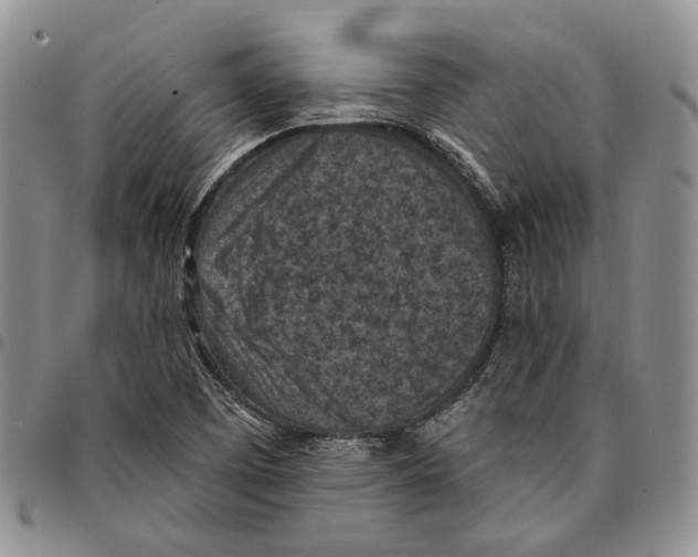 X0000096681457200803041231