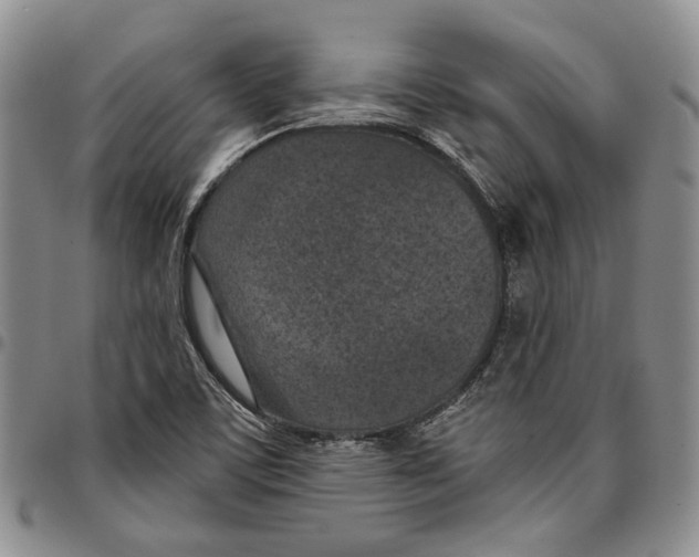 X0000096681459200803041231