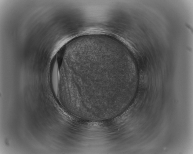 X0000096681461200803041231