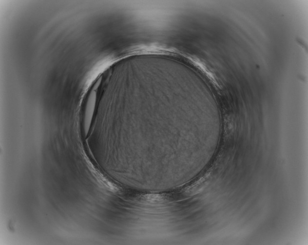 X0000096681463200803041231