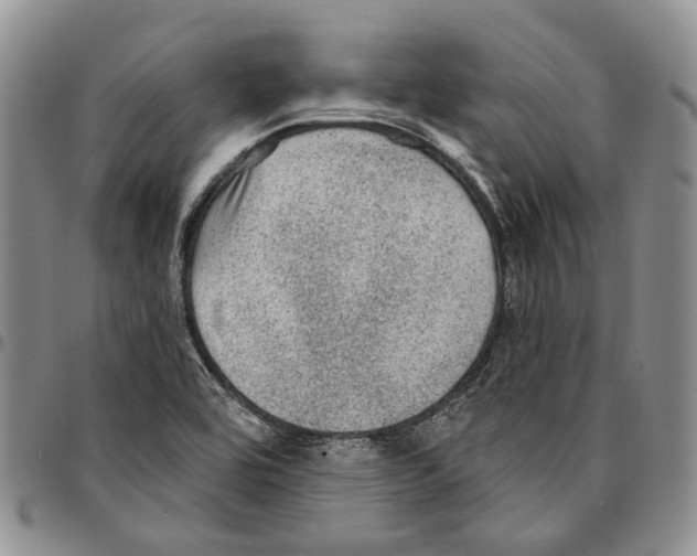 X0000096681464200803041231