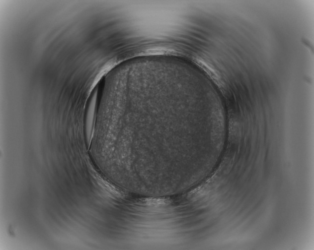 X0000096681465200803041231