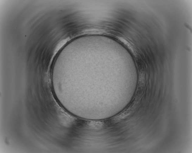 X0000096681466200803041231