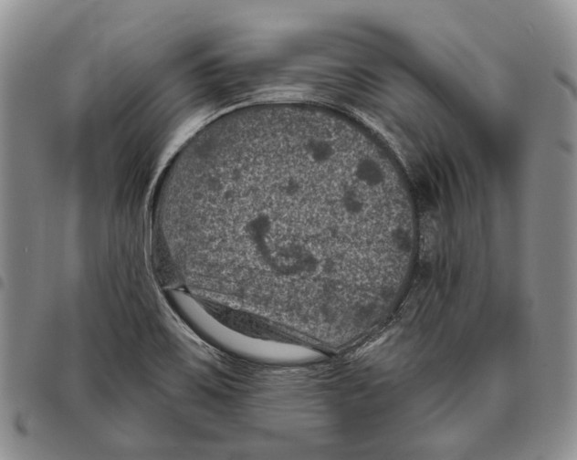 X0000096681467200803041231