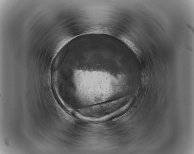 X0000096681468200803041231