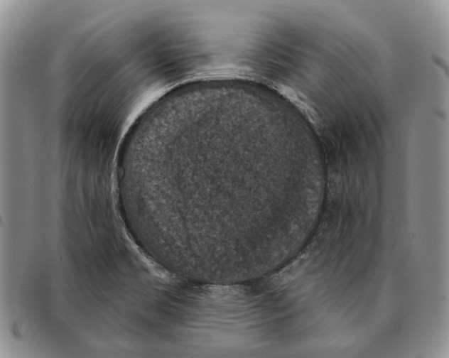 X0000096681469200803041231