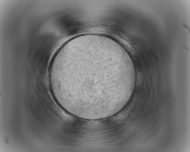 X0000096681470200803041231