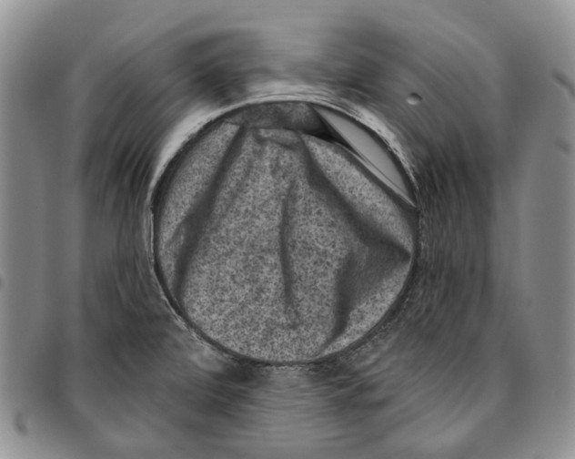 X0000096681472200803041231