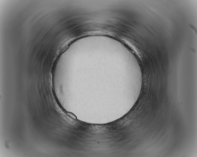 X0000096681476200803041231