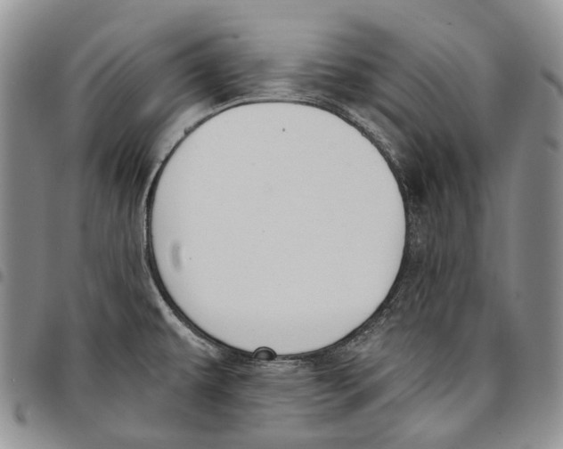 X0000096681479200803041231