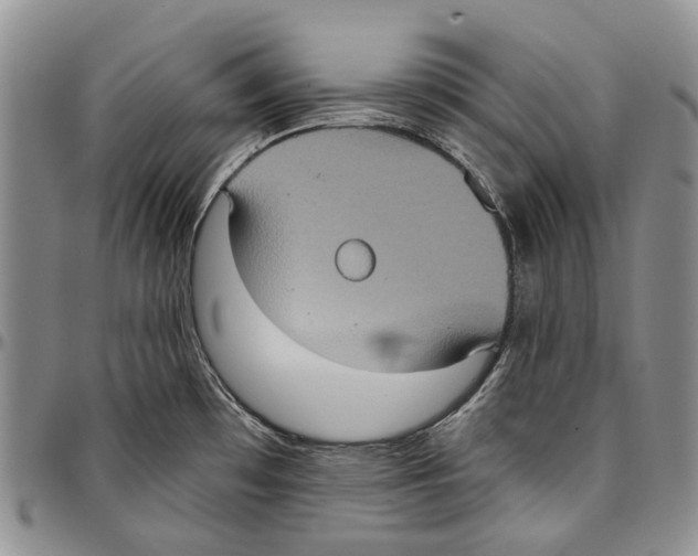 X0000096681481200803041231