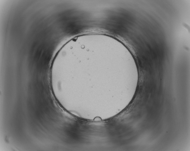 X0000096681486200803041230
