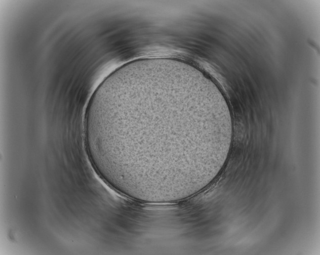 X0000096681487200803041230