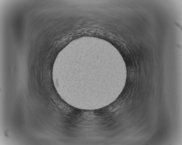 X0000096681489200803041230