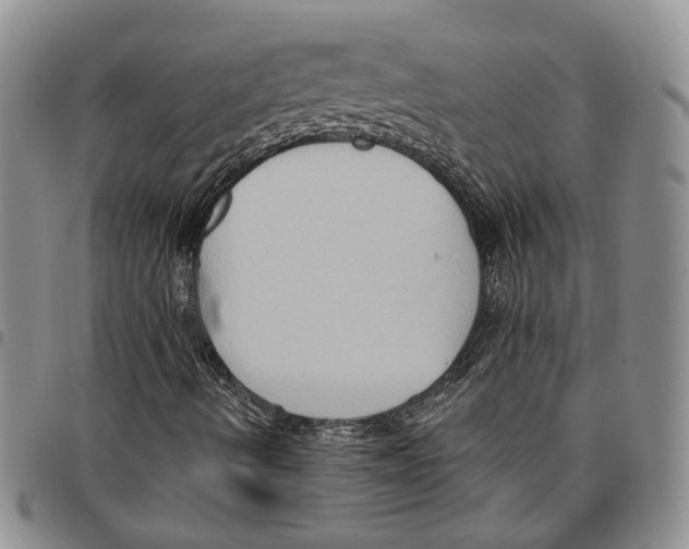 X0000096681490200803041230