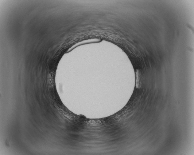 X0000096681491200803041230
