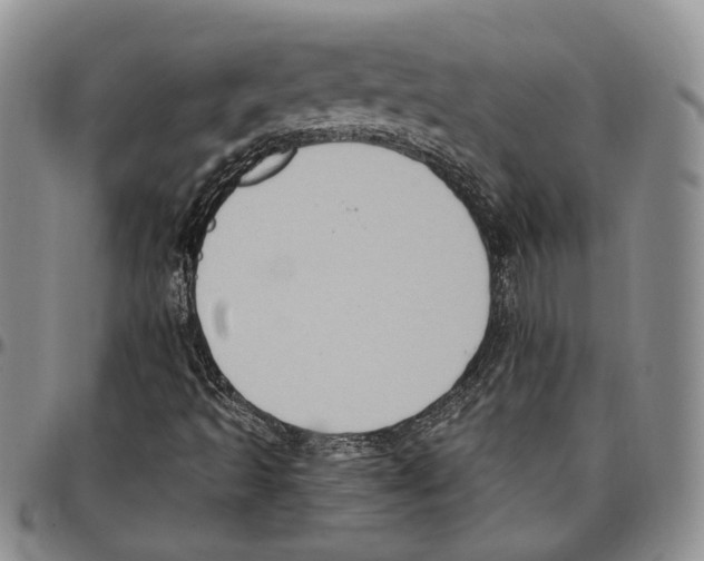 X0000096681493200803041230