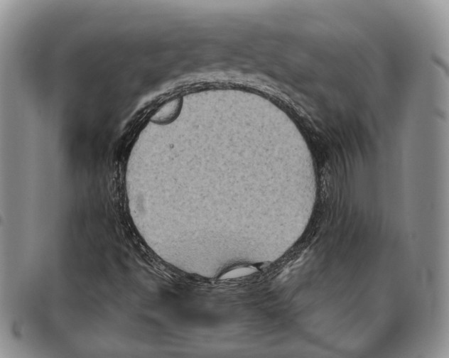 X0000096681494200803041230