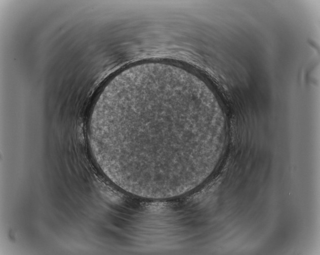 X0000096681497200803041230