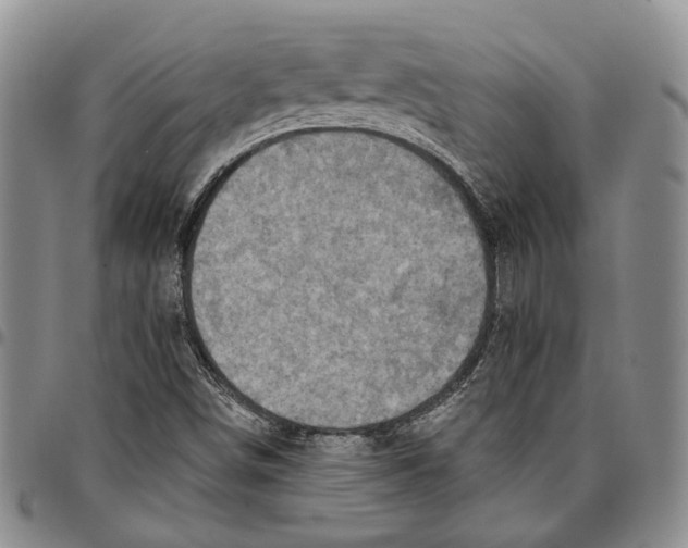 X0000096681498200803041230