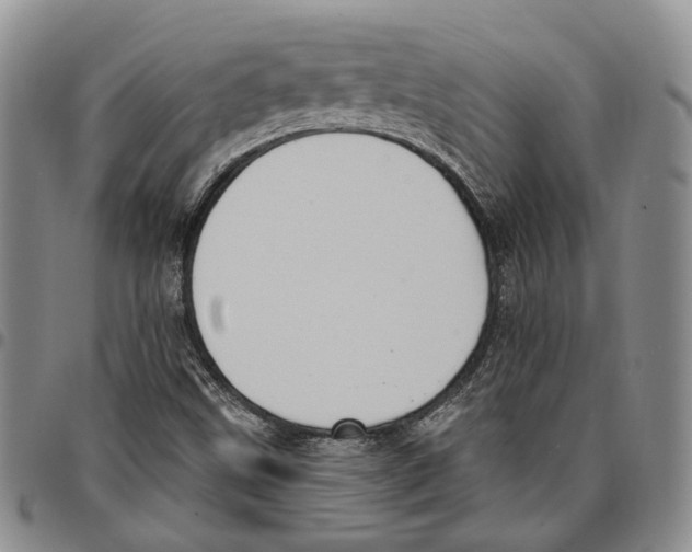 X0000096681499200803041230
