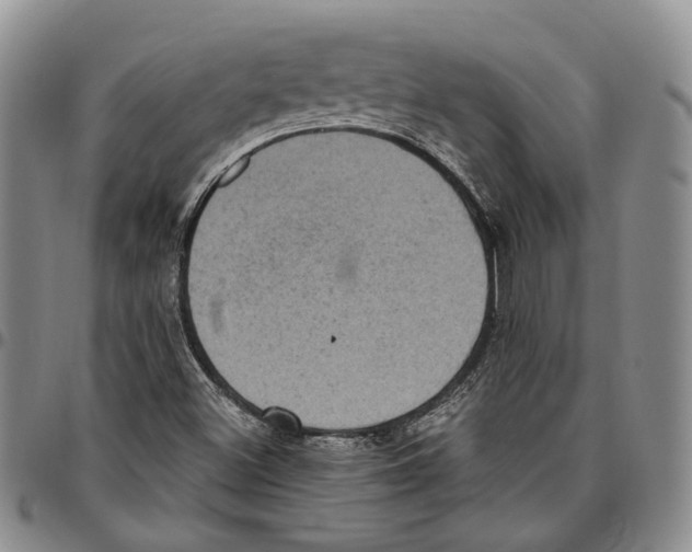 X0000096681500200803041230
