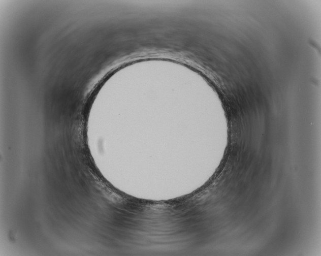 X0000096681502200803041230