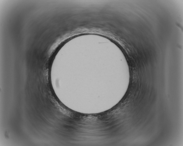 X0000096681503200803041230