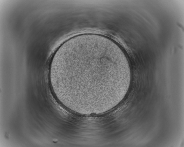 X0000096681504200803041230