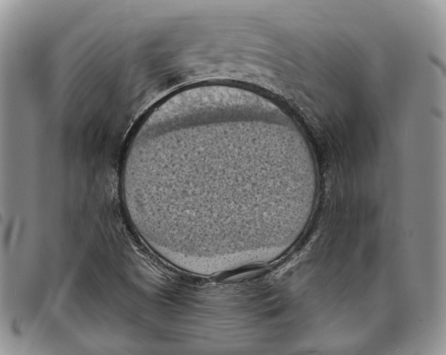 X0000096681505200803041230