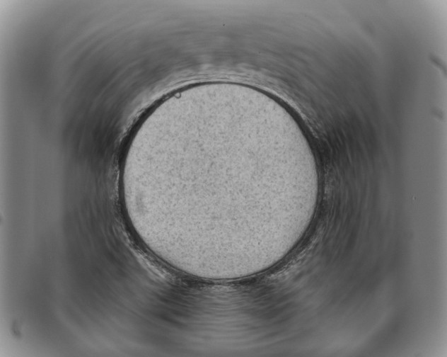 X0000096681507200803041230