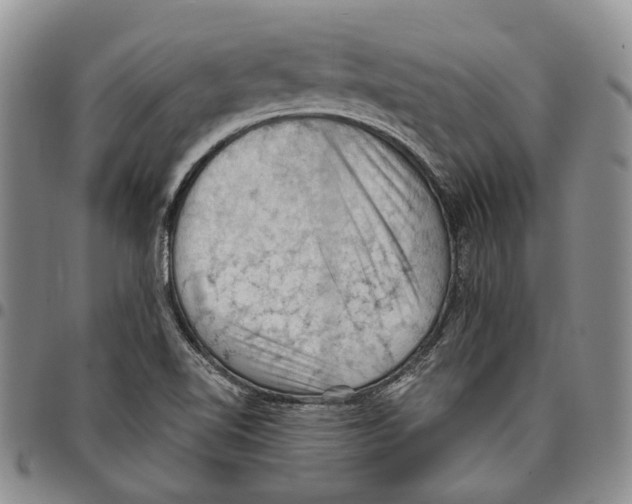 X0000096681510200803041230