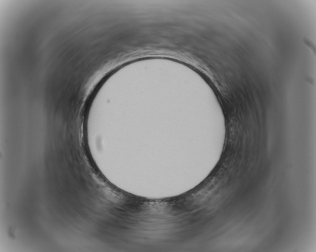 X0000096681511200803041230