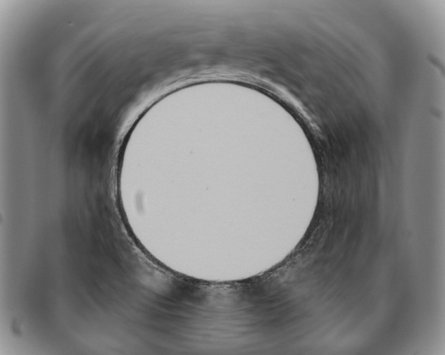 X0000096681512200803041230