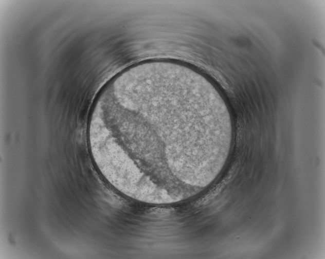 X0000096681513200803041230