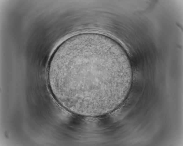 X0000096681514200803041230