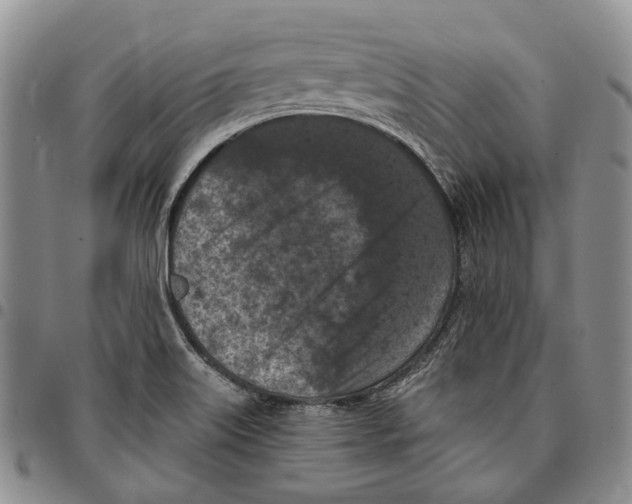 X0000096681515200803041230