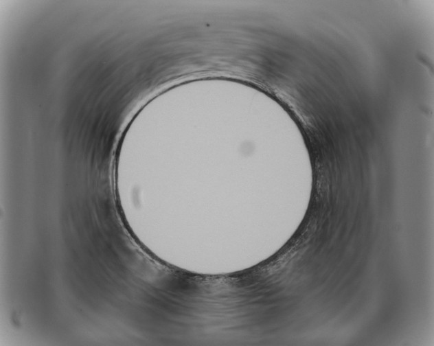 X0000096681516200803041230
