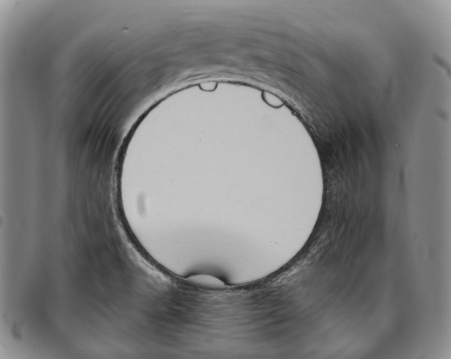 X0000096681518200803041230