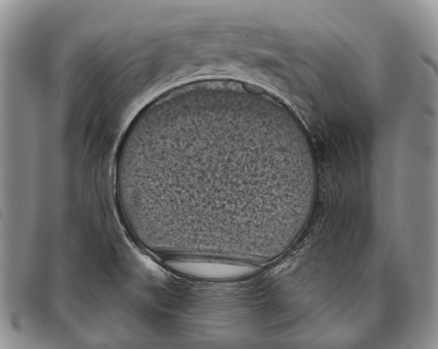 X0000096681519200803041230