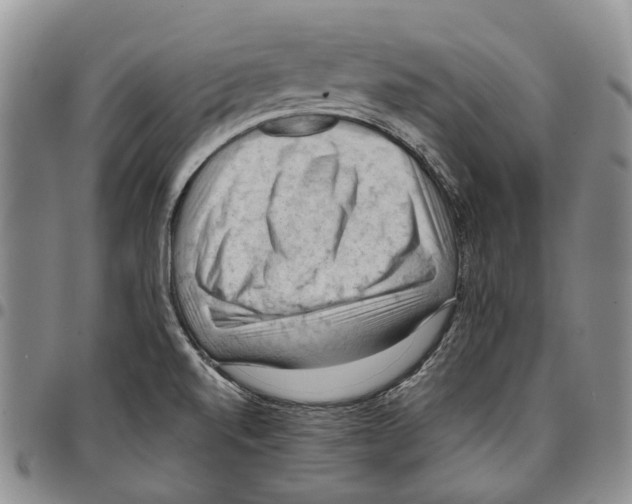 X0000096681520200803041230
