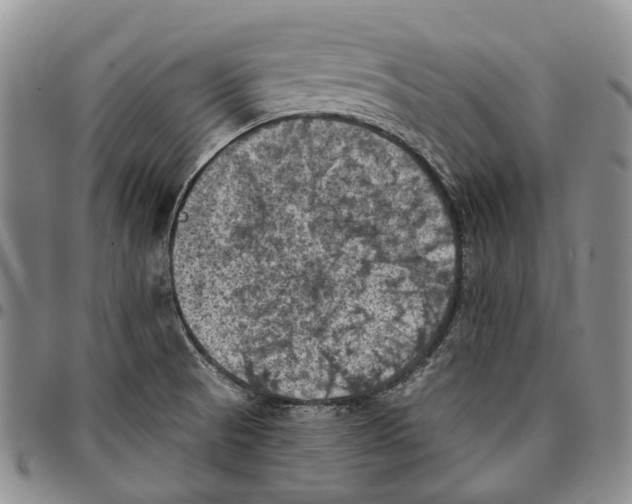 X0000096681521200803041230
