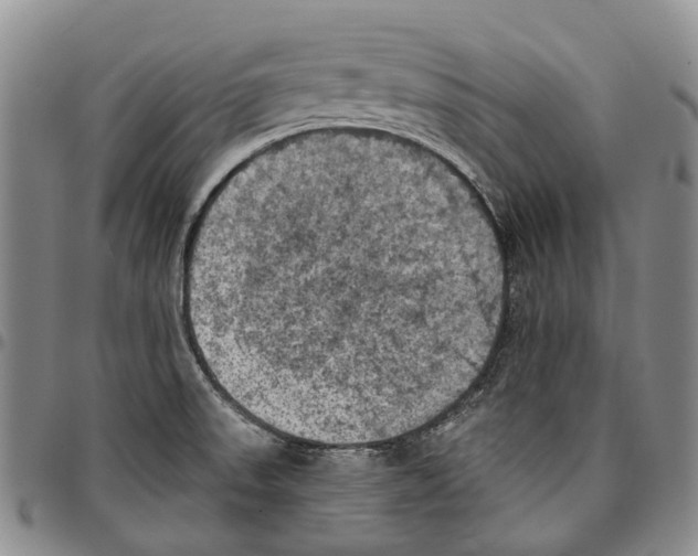 X0000096681523200803041230