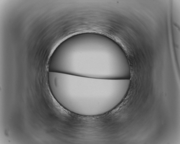 X0000096681524200803041230