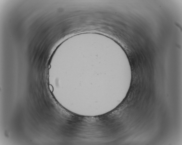 X0000096681526200803041230