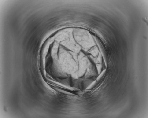 X0000096681528200803041230