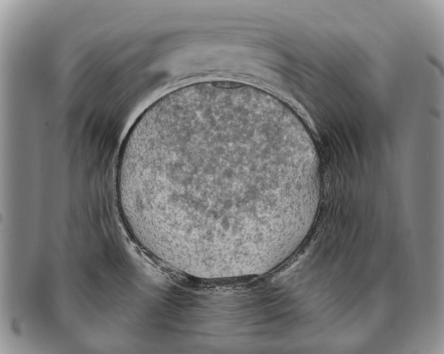 X0000096681530200803041230