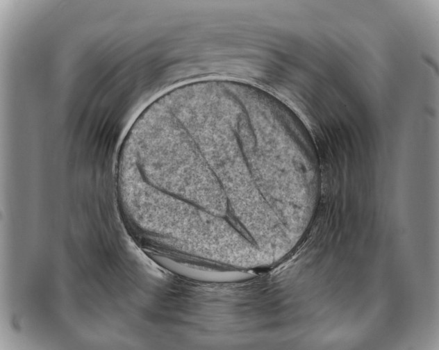 X0000096681532200803041230