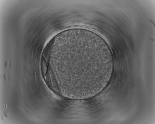 X0000096681533200803041230
