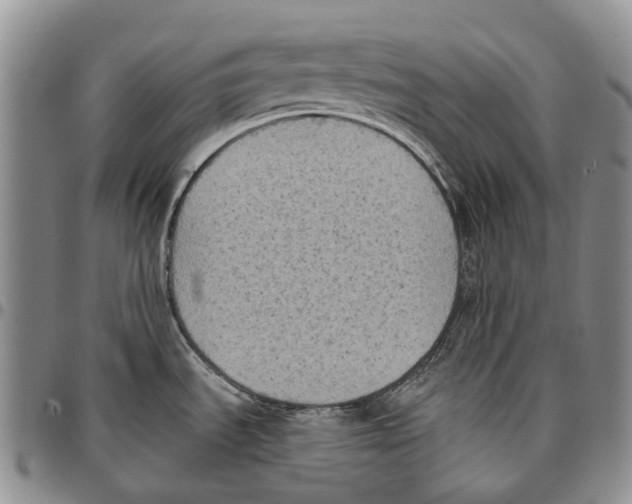 X0000096681535200803041230